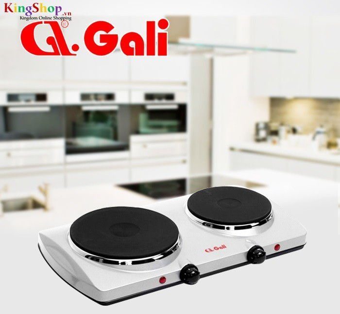 Bếp điện đôi Gali GL-2003