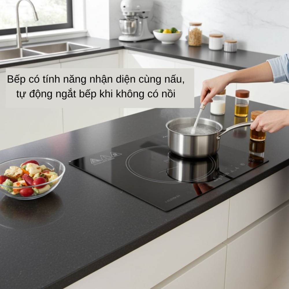 Bếp điện từ đơn Hòa Phát HPC 1S15H - Hàng chính hãng