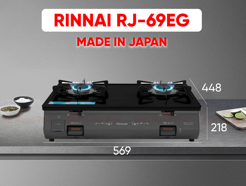 Bếp gas dương Rinnai RJ-69EG nhập khẩu nguyên chiếc từ Nhật Bản