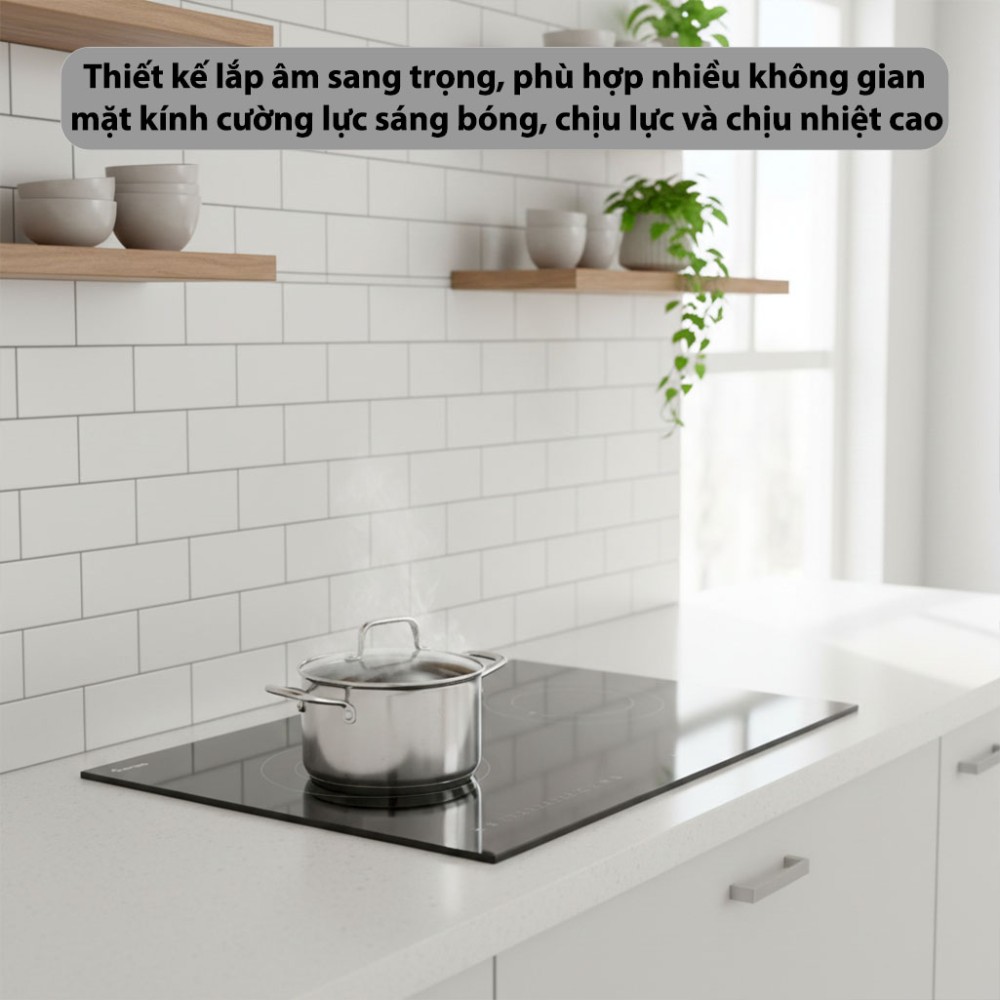 Bếp từ đôi Rapido RI-40BDN - Hàng chính hãng