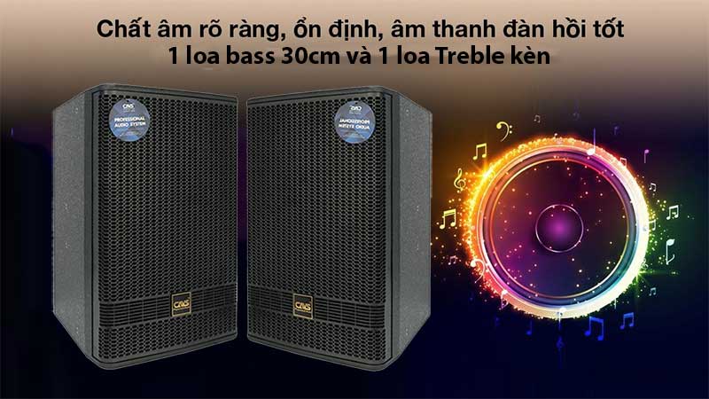 Cấu trúc của Cặp loa full CAVS J12