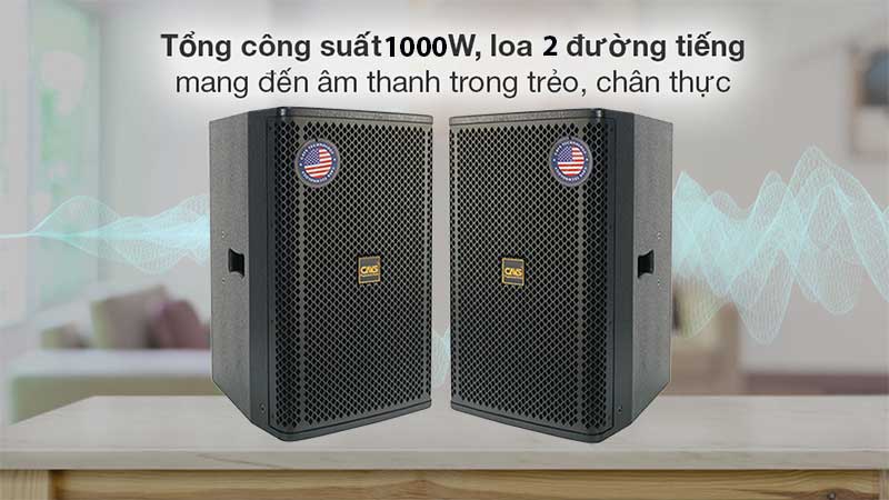 Tổng công suất của Cặp loa full CAVS P12