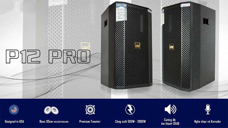 Cặp loa full CAVS P12 PRO