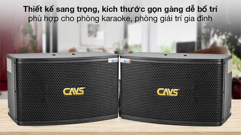 Thiết kế của Cặp loa karaoke CAVS LF710