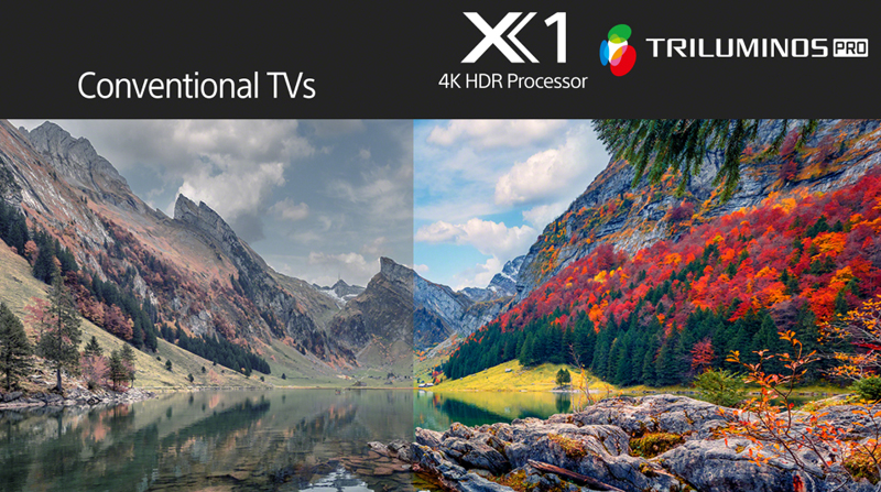 Bộ xử lý X1 4K HDR tái tạo hình ảnh chân thực