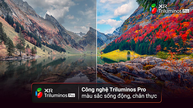 Công nghệ tạo màu Triluminos PRO và nhiều công nghệ kết hợp mang đến hình ảnh sắc nét