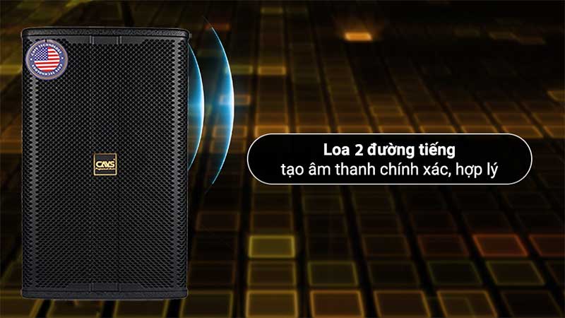 Cấu trúc của Loa full CAVS AF12 PRO