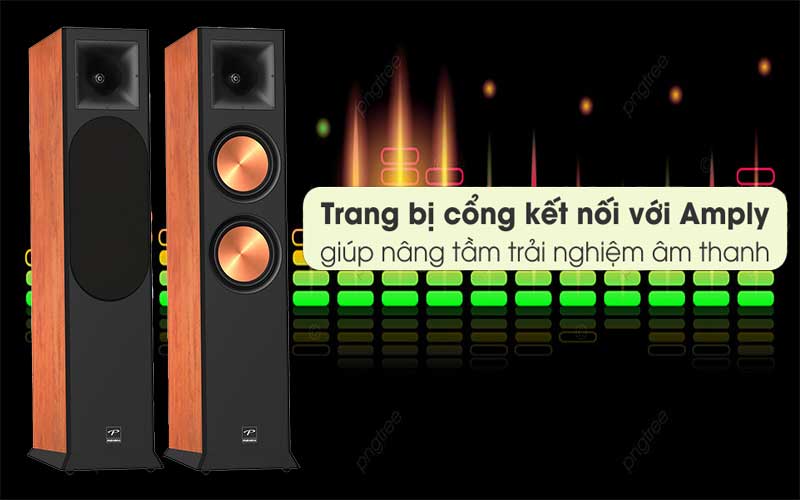 Cổng kết nối với Amply của Loa đứng Paramax EURO 8 Limited