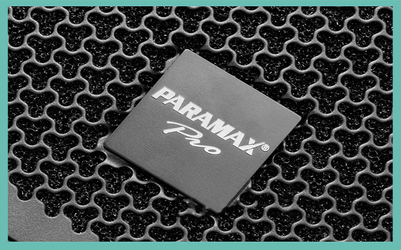 Loa fullrange Paramax PRO-S12
