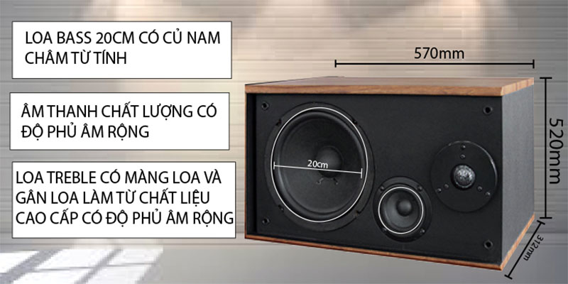 Loa karaoke Arirang 301