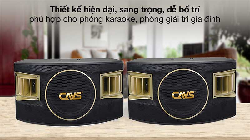 Thiết kế của Loa karaoke CAVS 530SE