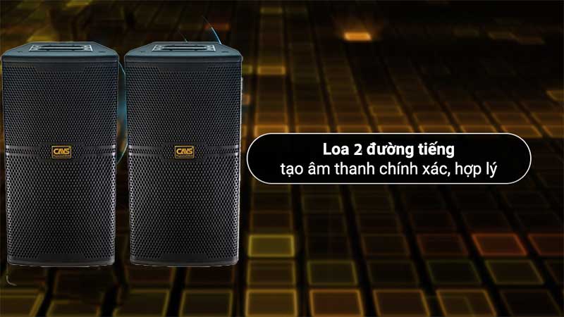 Hệ thống loa 2 đường tiếng của Loa karaoke CAVS CS-301E