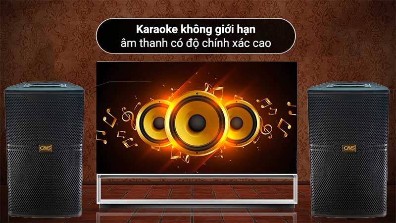 Ứng dụng của Loa karaoke CAVS CS-301E