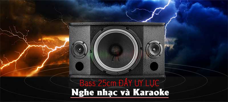 Đường kích loa bass của Loa karaoke CAVS LD710