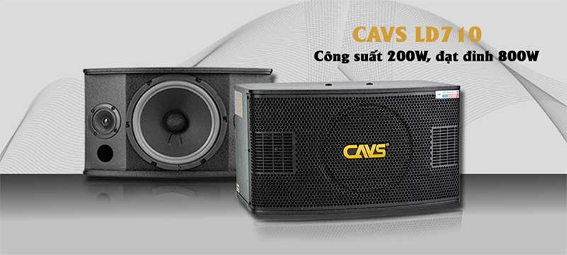 Công suất của Loa karaoke CAVS LD710