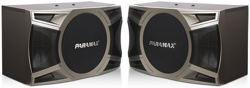 Loa Karaoke Paramax D-2000