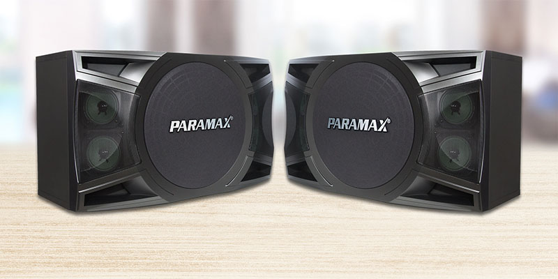 Loa karaoke Paramax MK-S1000