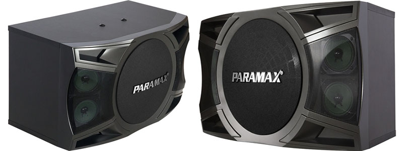 Loa karaoke Paramax MK-S1000