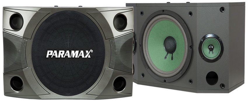 Loa karaoke Paramax P-850