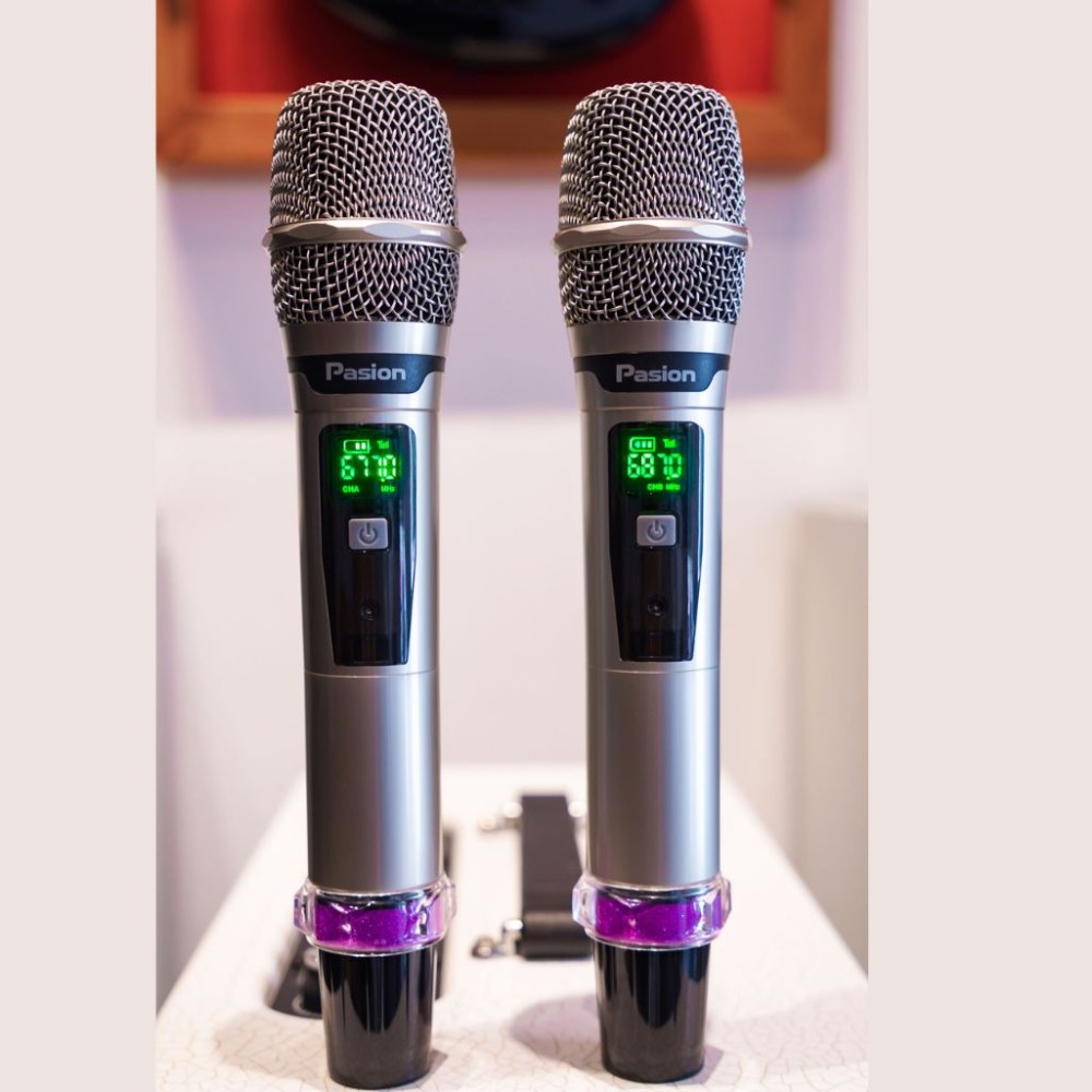 Loa karaoke xách tay Paramax Pasion Arte - Hàng chính hãng