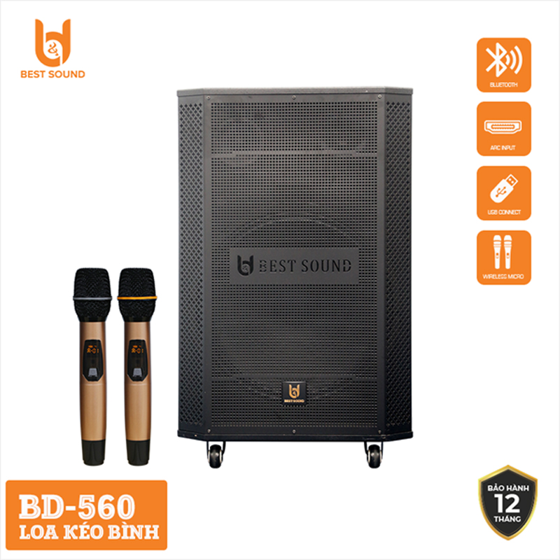 BD-560 là mẫu loa thùng gỗ cao cấp được thiết kế sang trọng