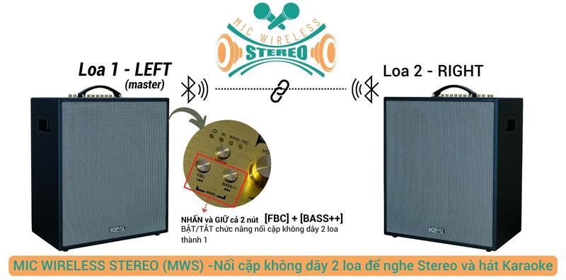 Tính năng Mic Wireless Stereo (MWS)