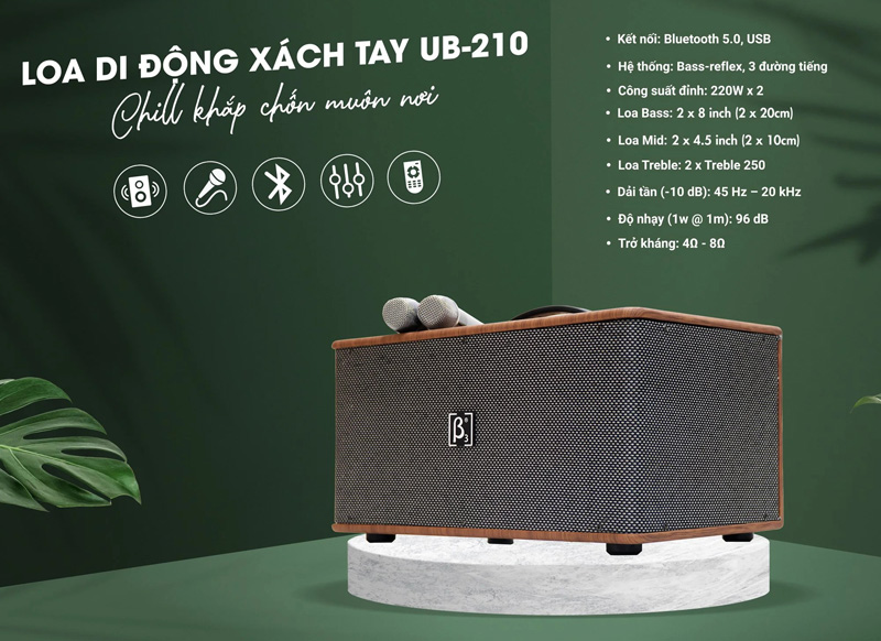 Thông số kỹ thuật của loa karaoke xách tay Beta Three UB-210