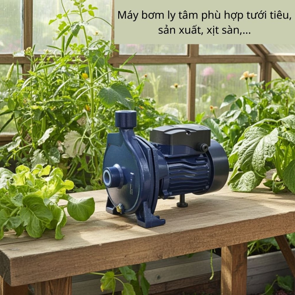 Máy bơm nước ly tâm Nanoco NCP750 - Hàng chính hãng