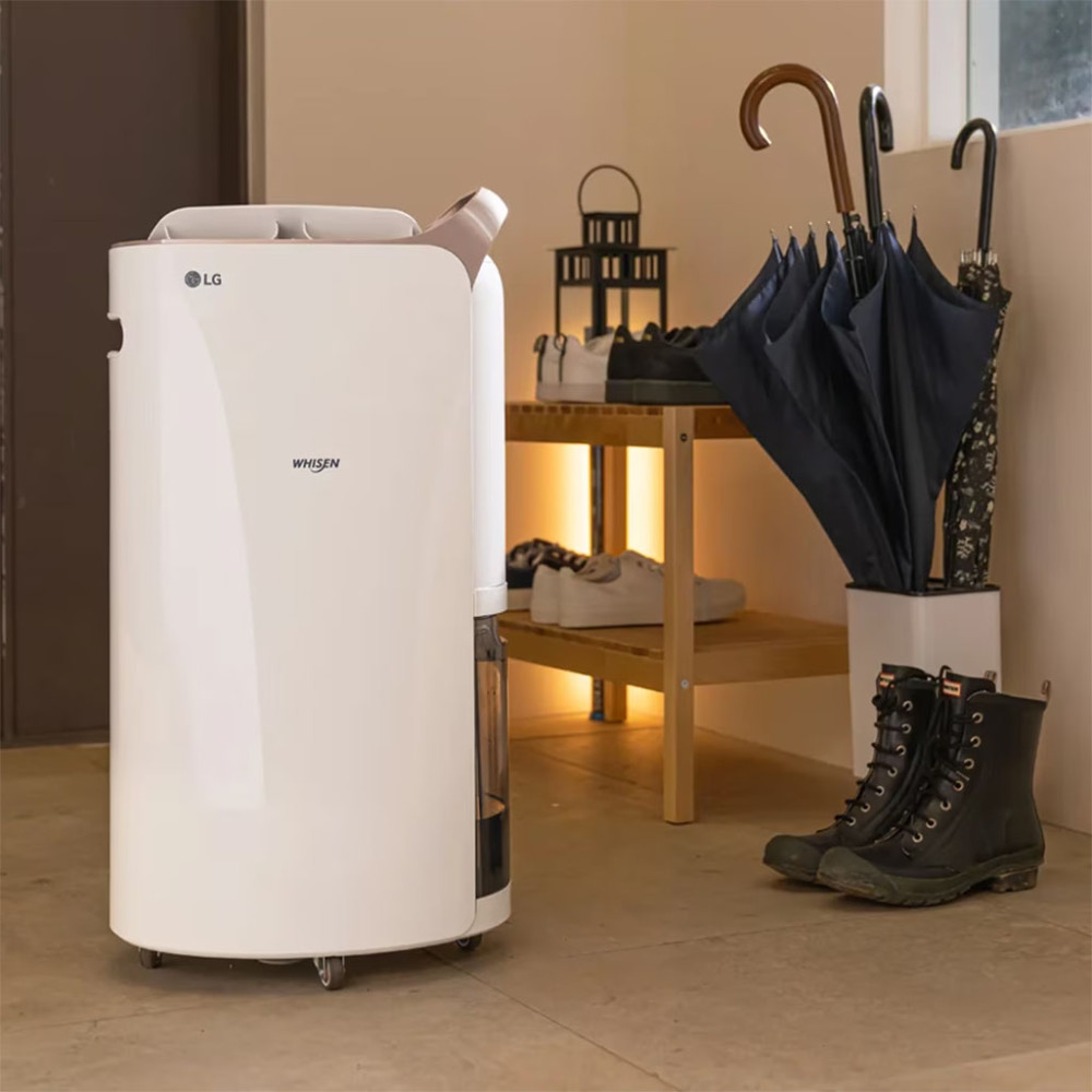 Máy hút ẩm hỗ trợ lọc không khí LG Whisen DQ202PBBC - Hàng chính hãng