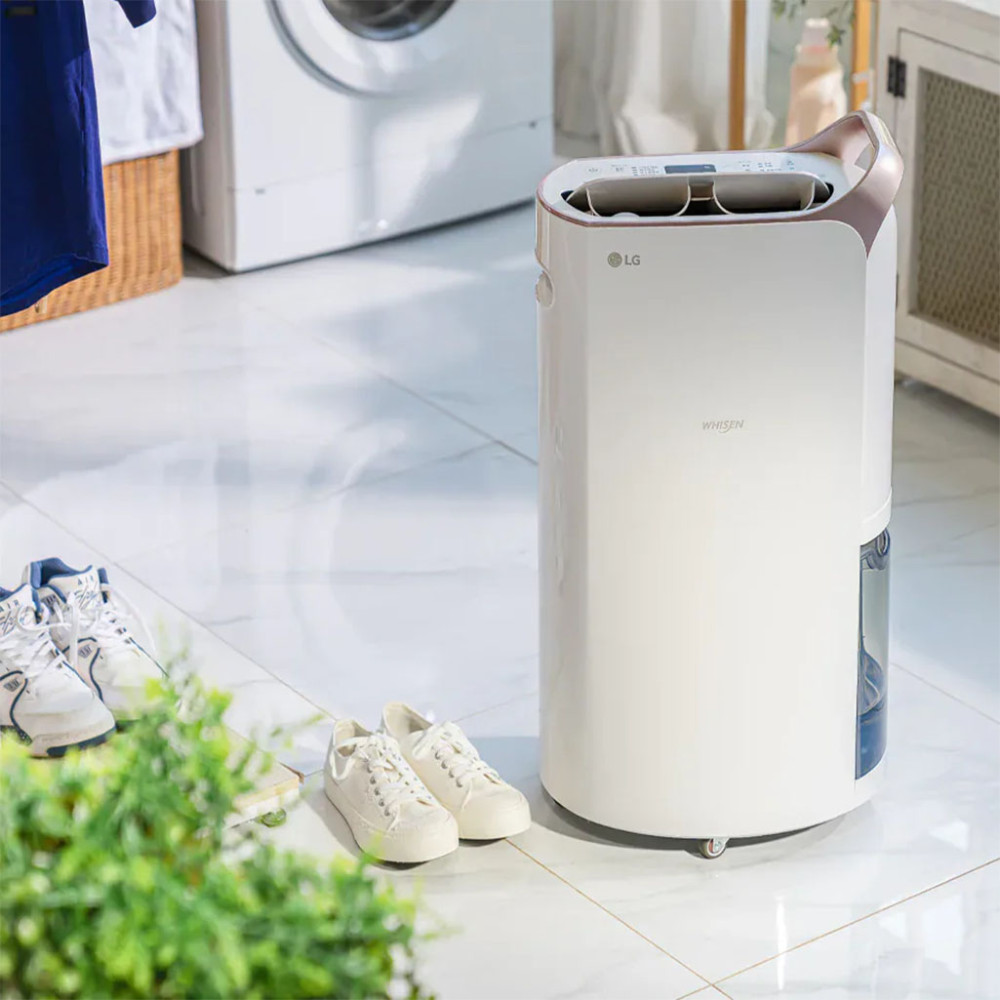 Máy hút ẩm hỗ trợ lọc không khí LG Whisen DQ202PBBC - Hàng chính hãng