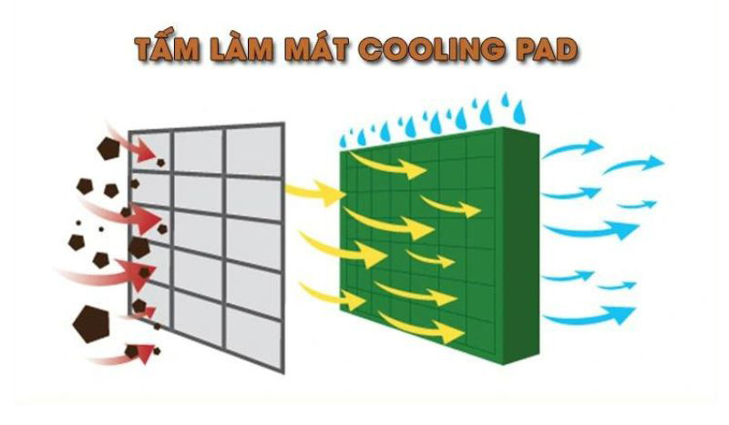 Tấm làm mát cooling pad được làm bằng gỗ sồi cho độ bền cao, làm mát hiệu quả,