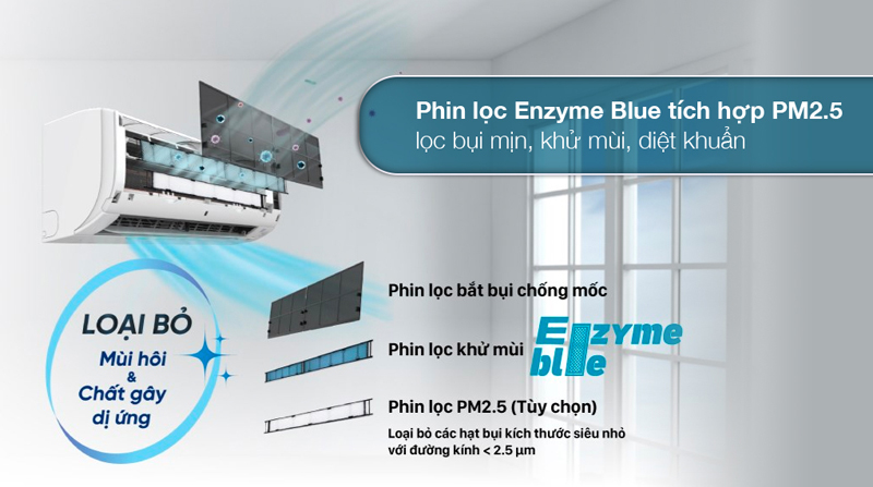 Làm sạch không khí bằng phin lọc Enzyme Blue và PM2.5 