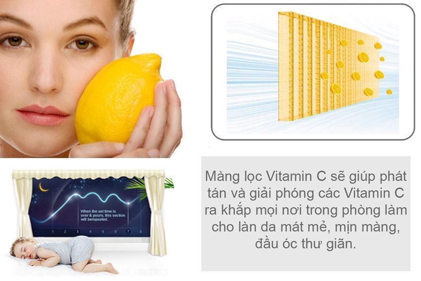 Màng lọc Vitamin C CỦA MÁY LẠNH Midea MSMA-09CR