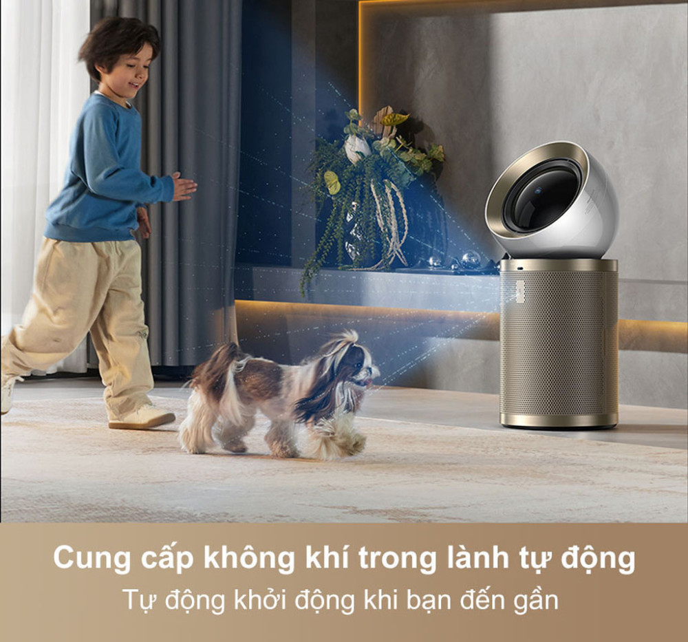 Loại bỏ các chất có hại, mang đến bầu không khí trong lành