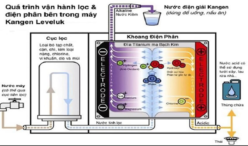 Qúa trình lọc nước của Máy lọc nước Kangen Leveluk Enagic SD-501 Platinum
