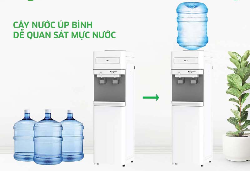 Loại cây nước úp bình nên bạn dễ dàng quan sát được lượng nước bên trong