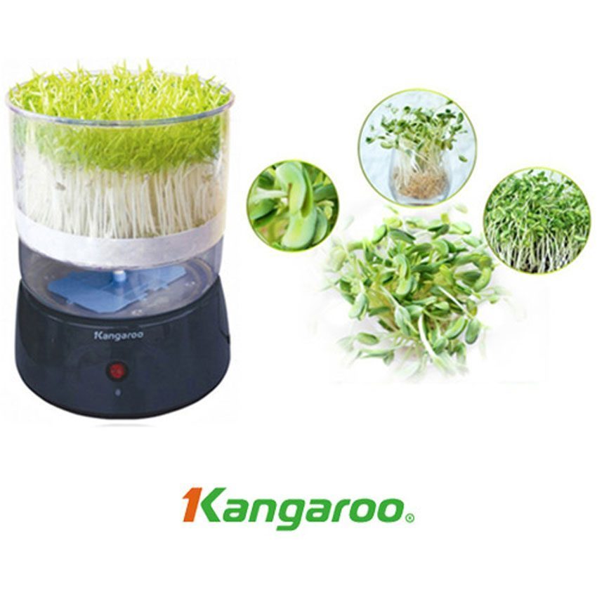 Mày trồng rau mầm Kangaroo KG-261