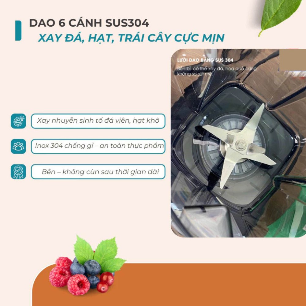 Máy xay công nghiệp Bennix BN-229BL - Hàng chính hãng