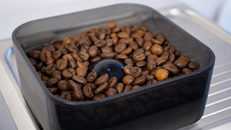 Hộp chứa hạt cà phê của Máy xay và pha cà phê Cecotec Espresso 20 Cumbia Power