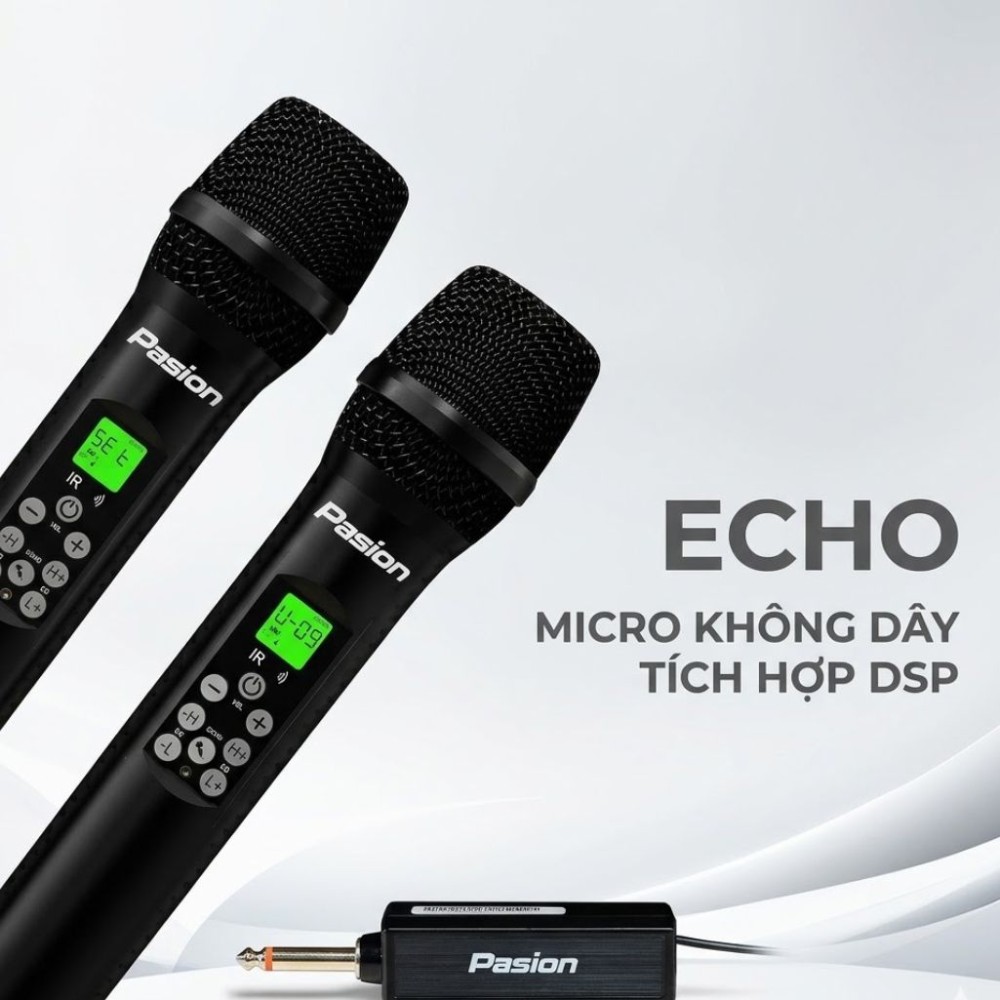 Micro không dây tích hợp DSP Paramax PASION ECHO - Hàng chính hãng