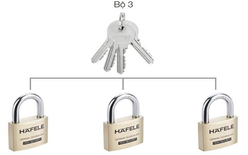 Ổ khóa 3 cái Hafele H76XW50XT18 482.01.975 