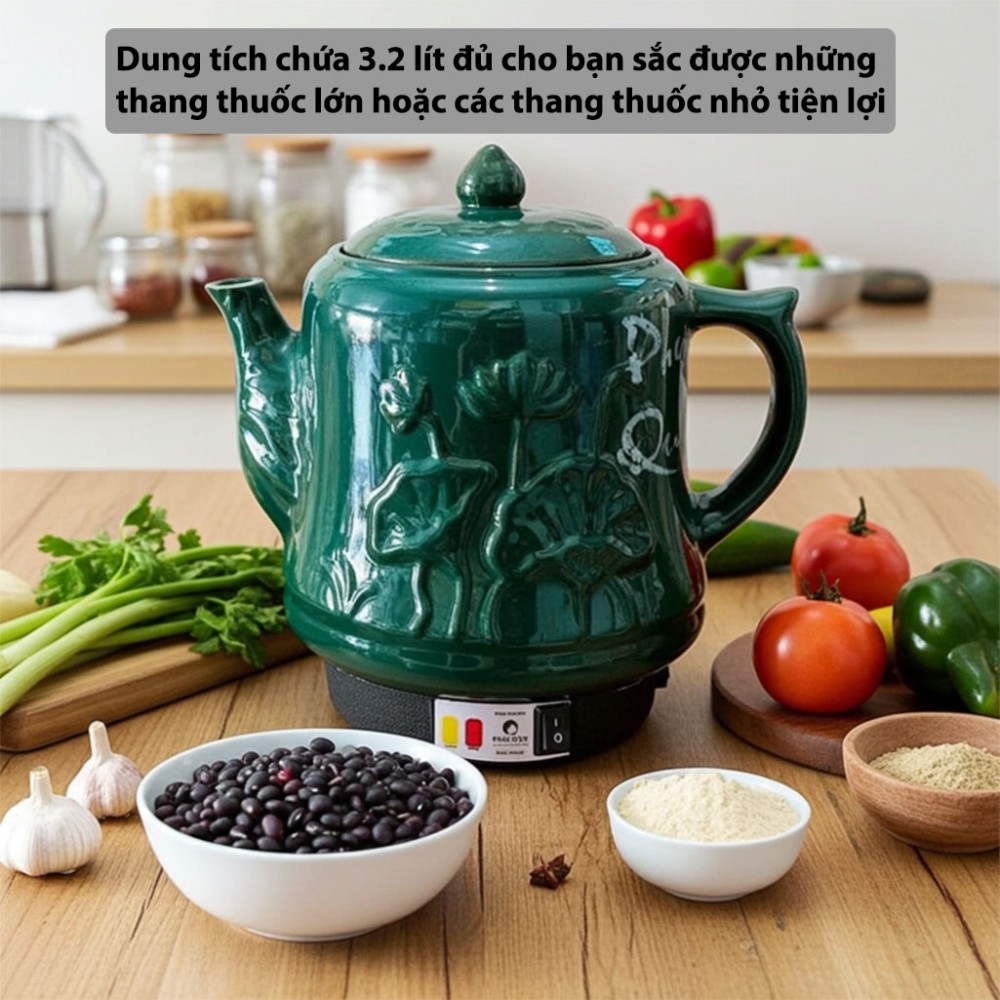 Siêu sắc thuốc điện Phú Quý PQ-81 - Hàng chính hãng