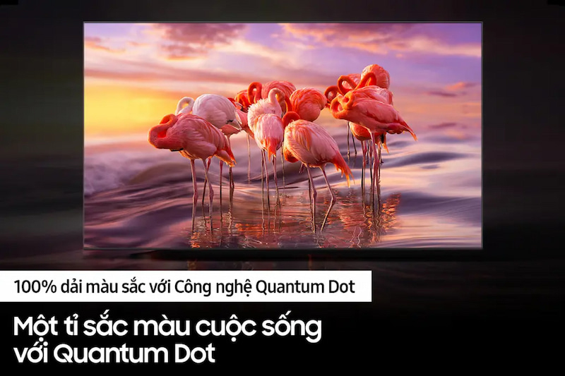 Quantum Dot mang đến cho bạn những cảnh quay và hình ảnh trong tivi được rõ nét và sinh động hơn.