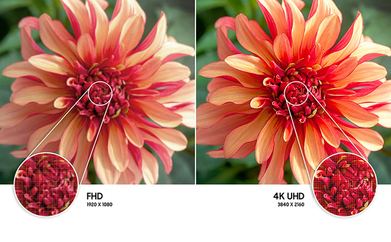 Độ phân giải 4K UHD cùng bộ xử lý Crystal 4K tự động tinh chỉnh màu sắc, mang đến cho bạn hình ảnh sắc nét.