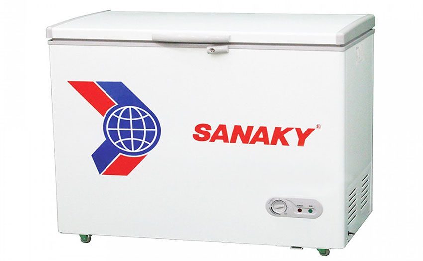 Tủ đông 250 lít Sanaky VH-2599HY2 