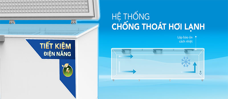 Thiết kế của Tủ đông Hòa Phát HPF-AD61190.1