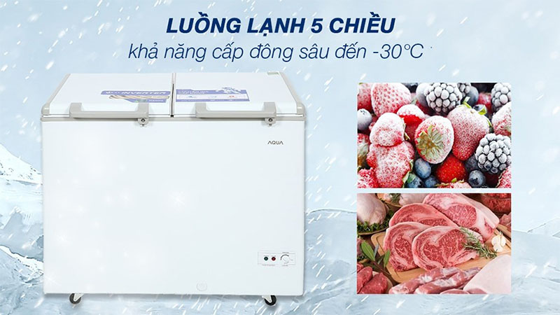 Thiết kế dàn lạnh của Tủ đông Inverter Aqua 319 lít AQF-C4201E