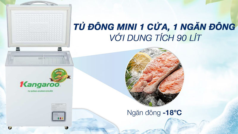 Dung tích của Tủ đông kháng khuẩn Kangaroo 90 lít KG168NC1