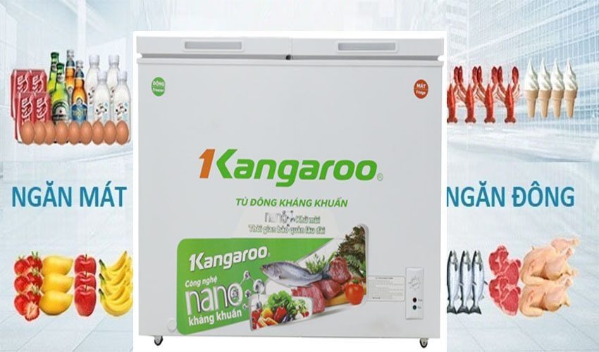 Ứng dụng của tủ đông kháng khuẩn Kangaroo KG 268C2