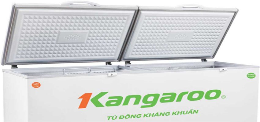 Thiết kế 1 ngăn 2 cửa của tủ đông kháng khuẩn Kangaroo KG388C1